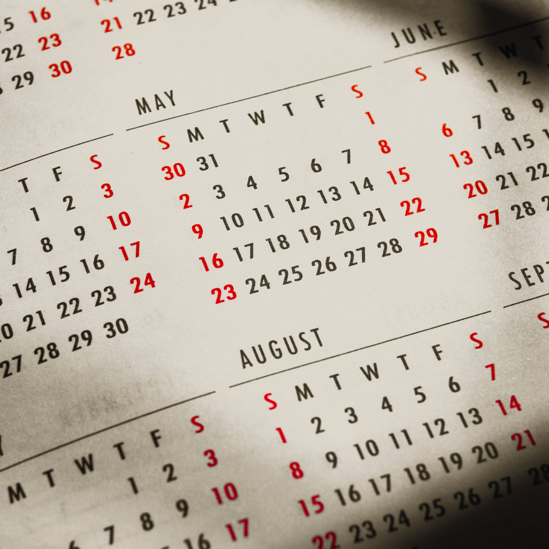 Social Media Calendar and Templates November 2024